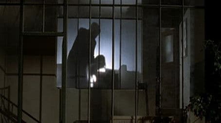 A Shadow in the Courtyard