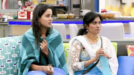 Day 36: Shock Treatment!