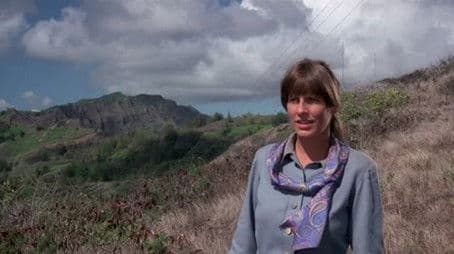 Turkey Shoot At Makapuu