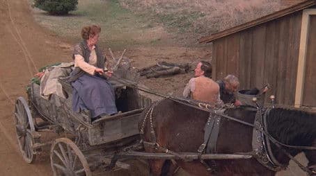 Fox, Hound, and the Widow McCloud