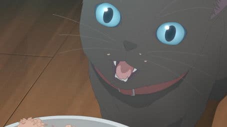 COP SHOW, WITCH CRAFT