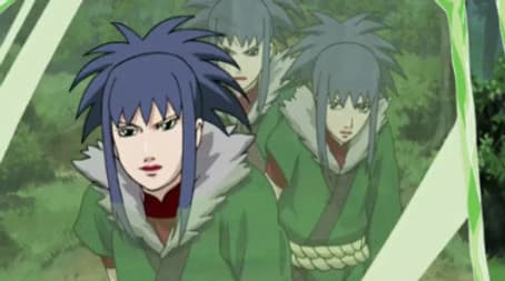 The Labyrinth of Distorted Reflection