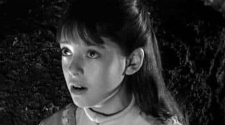 My Friend, Mr. Nobody