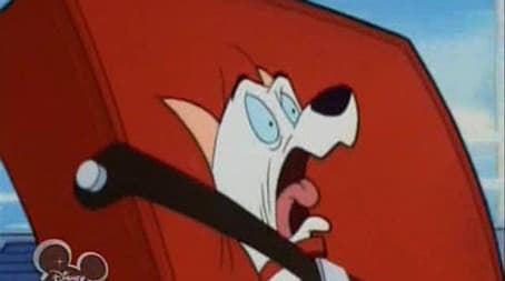 The Great Cat Invasion