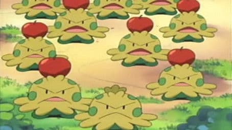 A Shroomish Skirmish