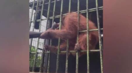 It's All Downhill From Here