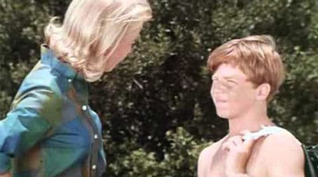 Dolphin in Pursuit (2)