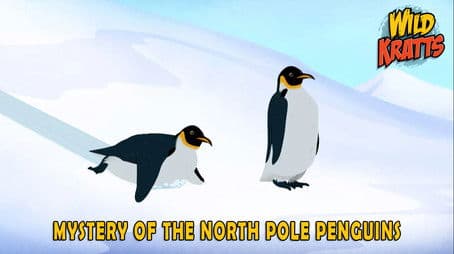 Mystery of the North Pole Penguin