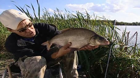 Days 23-24 Ruffe and Bream