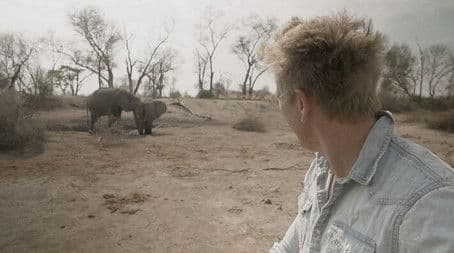 Drought in the delta