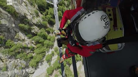 Smell, forest hi tech, digital payments