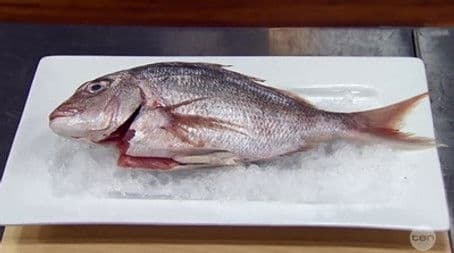 Elimination Challenge: Three Dishes from One Snapper