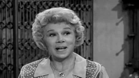 Kate the Stockholder