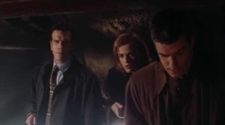 The Greenhouse Effect / The Buzz