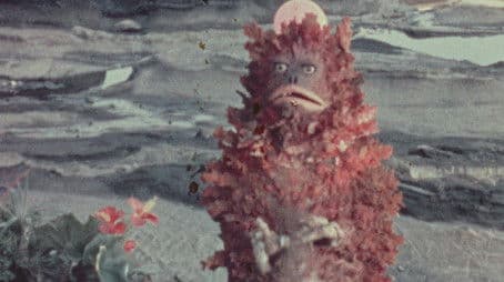 The Lawless Monster Zone