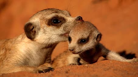 Monterey Bay, California