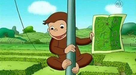 The Amazing Maze Race