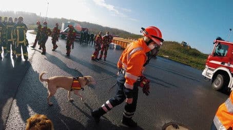 Rescue after a traffic accident | Exercise with the high-altitude rescuers and the rescue dog squad