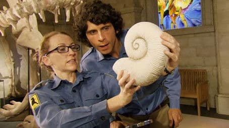 Eustreptospondylus and Ammonite