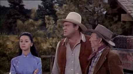 A Pink Cloud Comes from Old Cathay