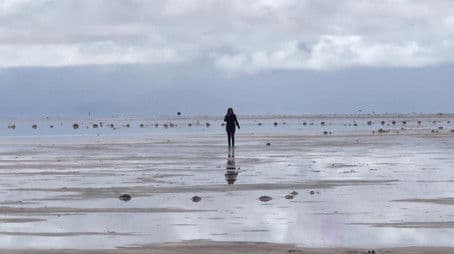 Buried in the desert