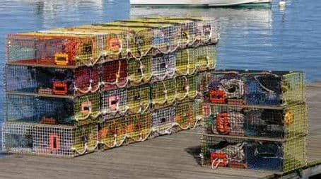 Lobsters, Chesterfield Sofas, 4K Television