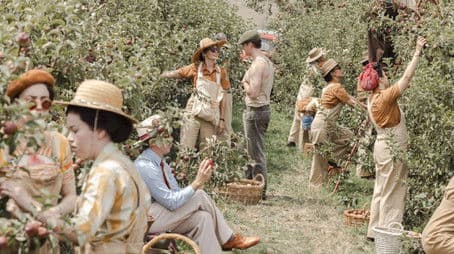 Come And Join The Victory Harvest!