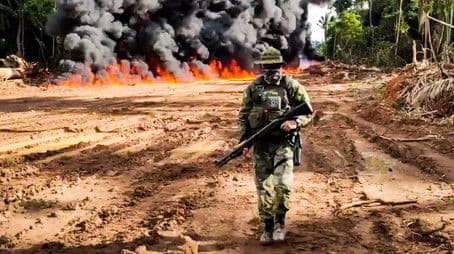 Anarchy in the Amazon