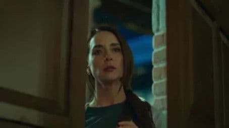 Ellos son como lobos