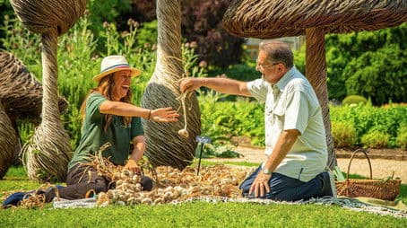 Salads, Soups and Sides