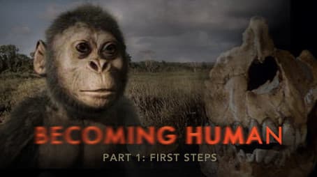 Becoming Human: First Steps
