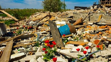 When Spring Came to Bucha