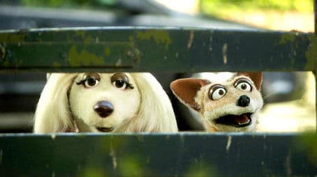 Nelson and the Human