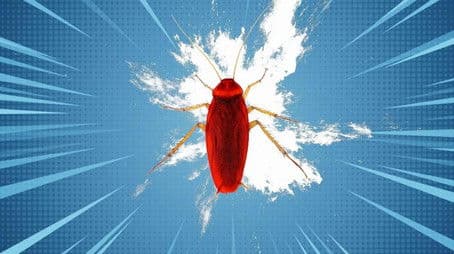 Headless Cockroaches & Butt Breathing