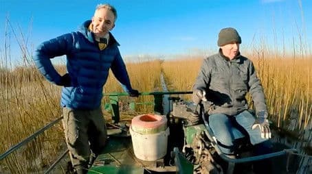 Somerset Willow Harvest