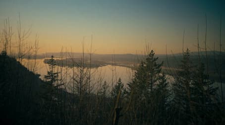 True Lies (2): The Happy Face Killer