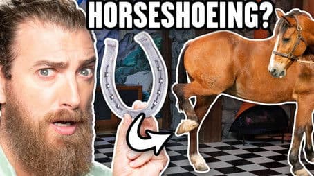 Will We Die Shoeing A Horse?