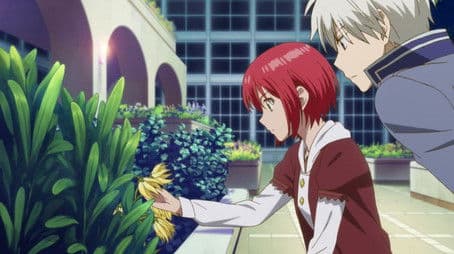 From the Small Hand, a Burgeoning Concerto Resonates