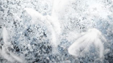 The End of the 4.5 Tatami Age